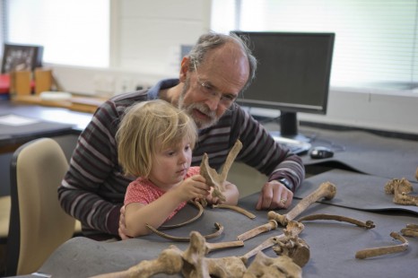 Studying bones at Southampton Archaeology Activities Day (David Wheatley)