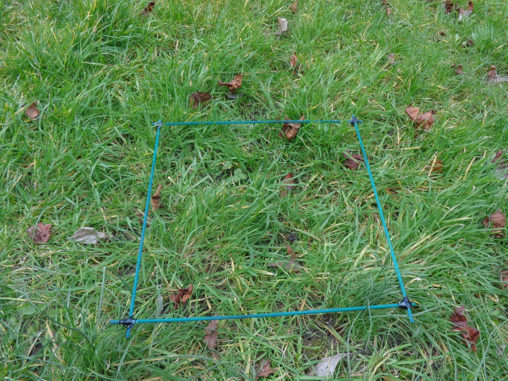 How To Make a Quadrat Southampton BioBlitz
