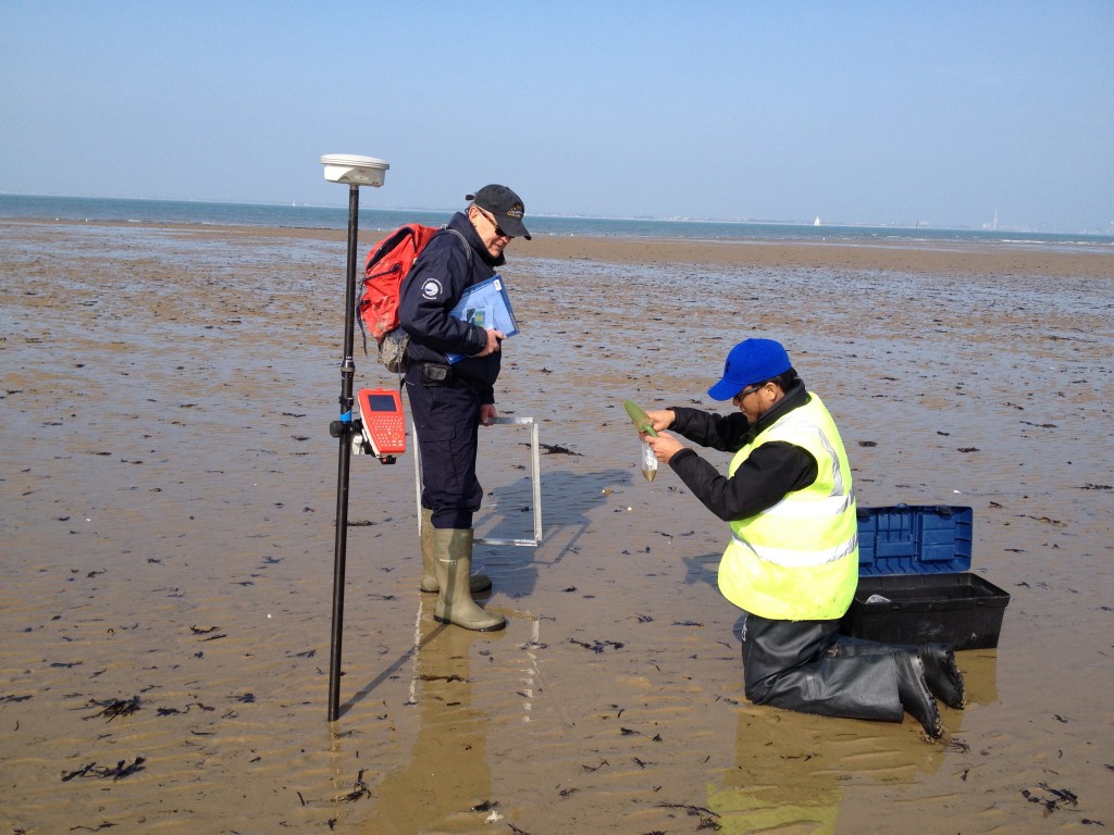 sampling surface sediments under the watchful eyes of prof Amos (after all, he is carrying the load)