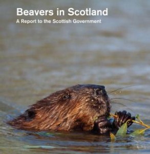 Beavers in Scotland front cover (gateway)