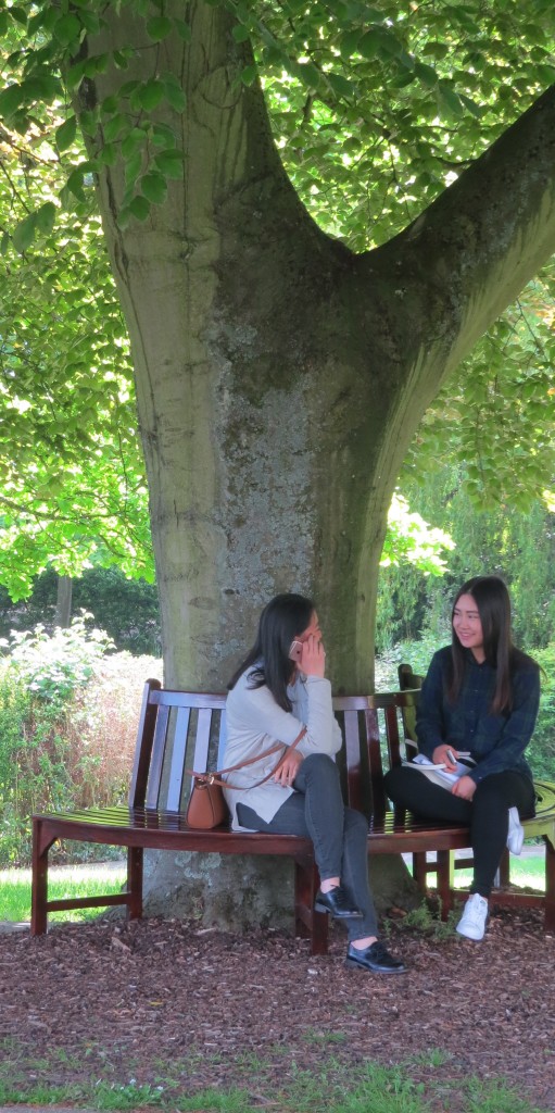 Students enjoying the new bench on a warm day last week