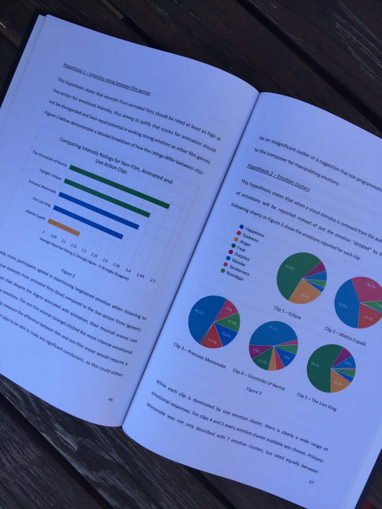 Soton dissertation picture