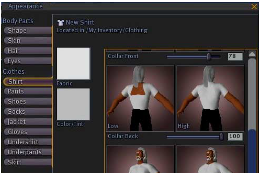 Figure 3: Another example of avatar customization in Second Life [3]