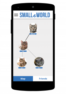 Small.World_Examples2