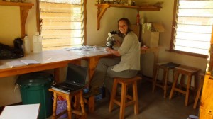 Laura analysing scat samples at the Marwell Research Centre in Kenya 