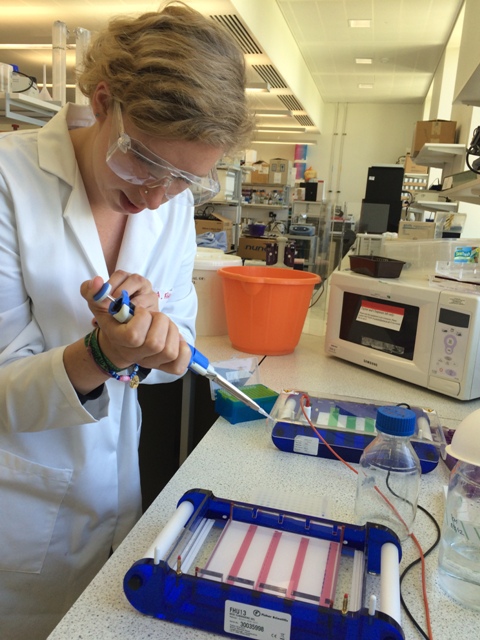 In the lab at the University of Southampton preparing a gel for electrophoresis