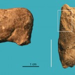 Model of a four-legged animal, possibly a horse or a deer, left, and an artifact with the finger impressions, highlighted in the white box. From Vela Spila, Croatia. Rebecca Farbstein / PLoS ONE. Rights Reserved 