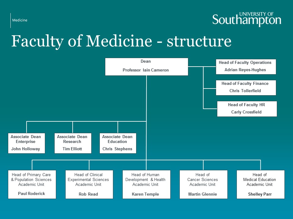 The study of the structure. University structure. Structure of Medicine. Structure of the Medical Education System?. Medical Prevention structure.