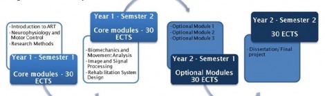 The programme Curriculum