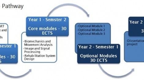 The programme Curriculum