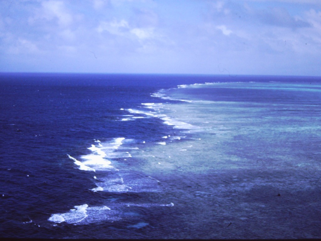 Great Barrier Reef is a remarkably efficient wave attenuator – Geology ...