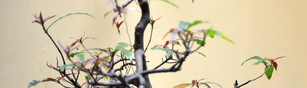 ILCD – Life Cycle Analysis Data