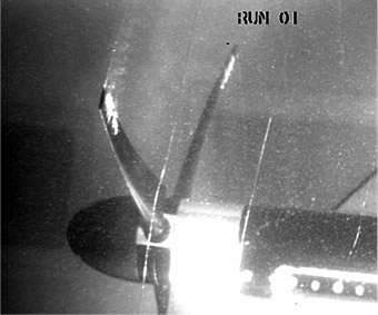 Cavitation on model blade
